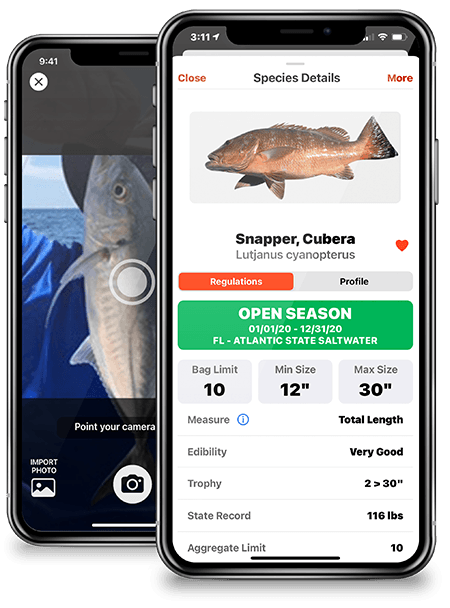 FishVerify - Species Identification & Local Fishing Regulations