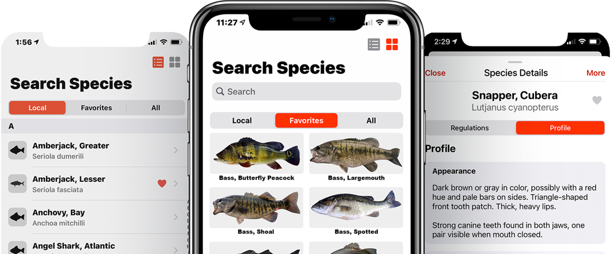 FishVerify – Species Identification & Local Fishing Regulations