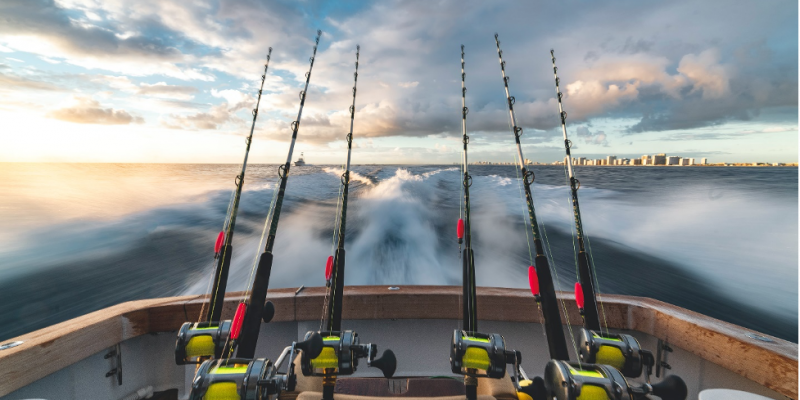 Saltwater Fishing Tips: Part 1 – FishVerify