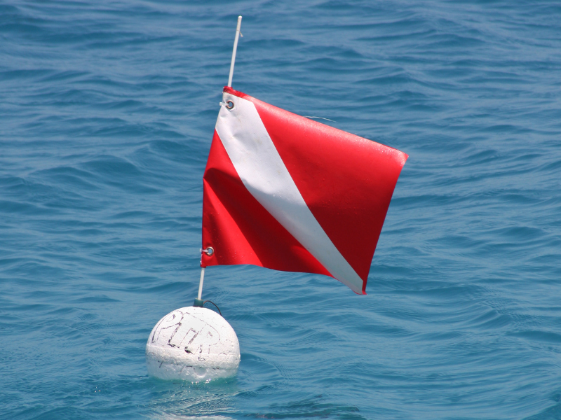 Gearing Up for the Start of Florida’s New Lobster Season FishVerify
