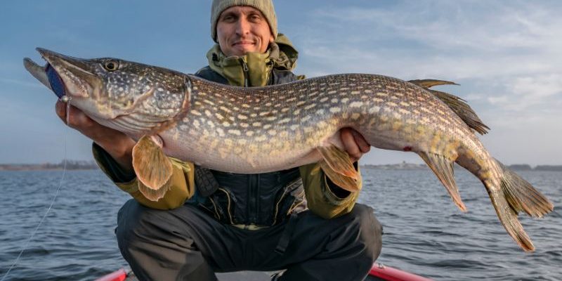 Ever Wondered How to Qualify Your Catch for State Records