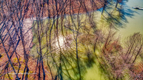 Warmer Water Pockets