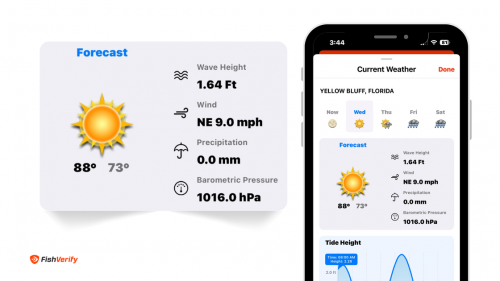 FishVerify’s weather and marine forecast tools