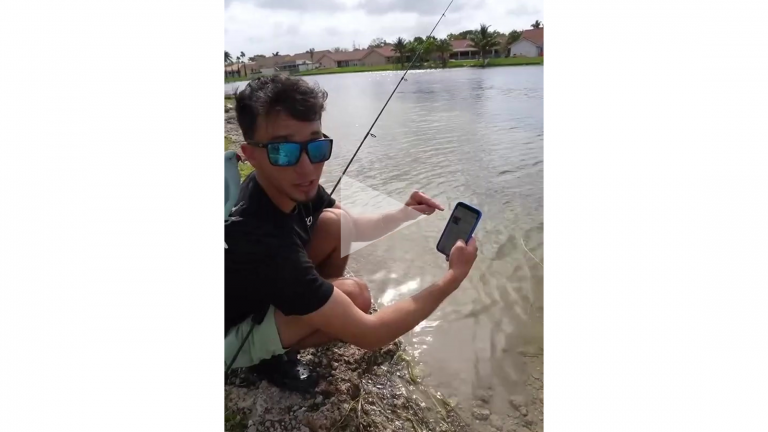 fishverify X Lazaro.guerra