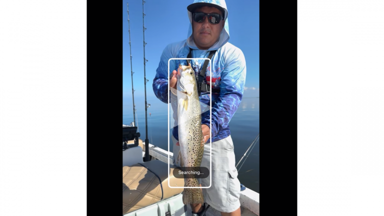 fishverify X pescaycazausa