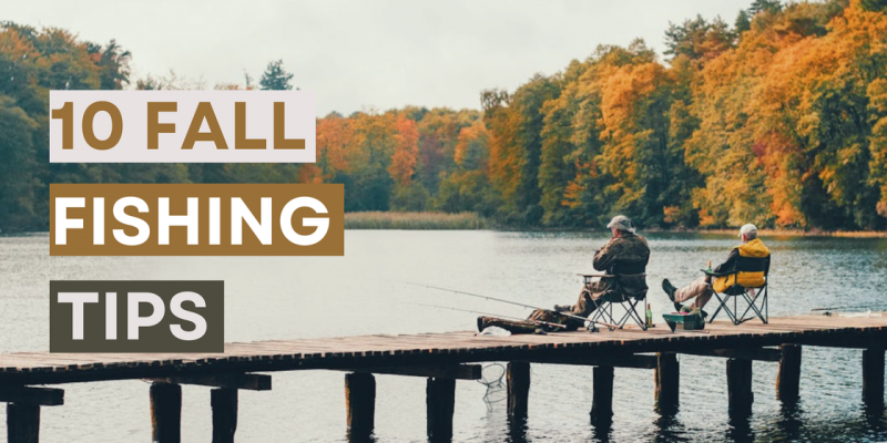 Top 10 Fall Fishing Tips for 2025 - Fishverify Blog