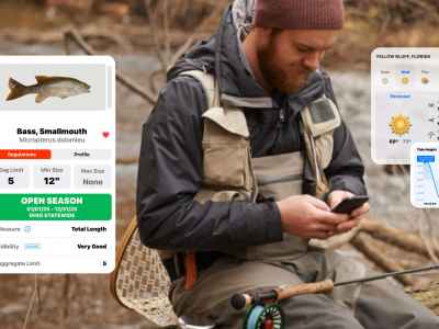 How to Identify Fall Fish Species Fast (With FishVerify)