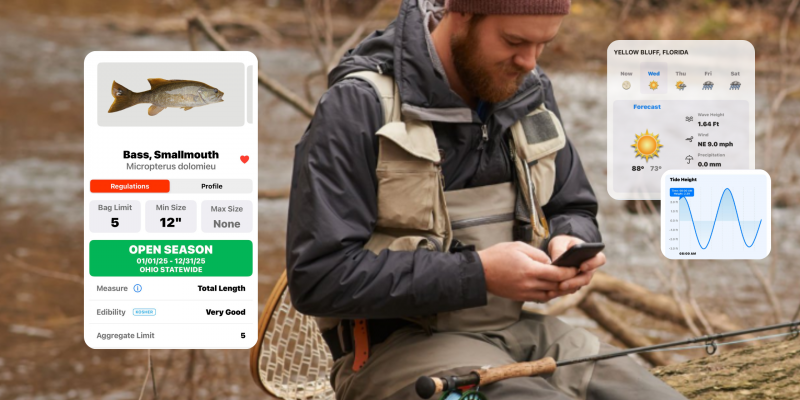 How to Identify Fall Fish Species Fast (With FishVerify)