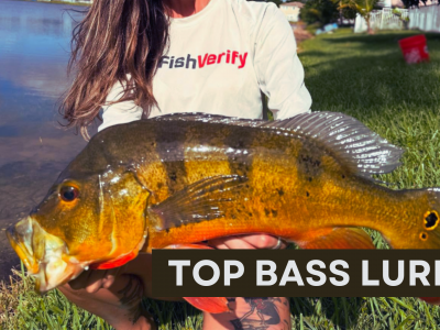 Fishing in Cold Weather Try These Proven Bass Lures