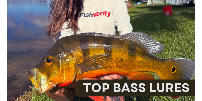 Fishing in Cold Weather Try These Proven Bass Lures