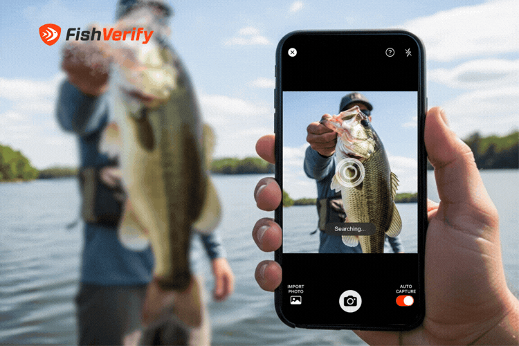 FishVerify App