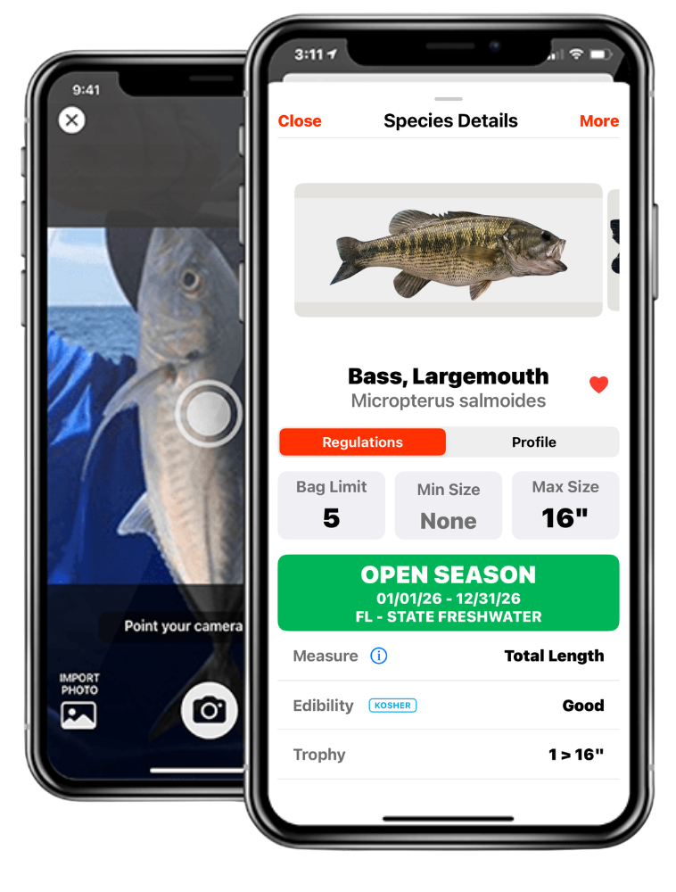 Species Identification and Regulation Guide